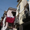P1020586