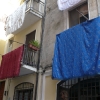 P1020589
