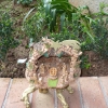 P1000753
